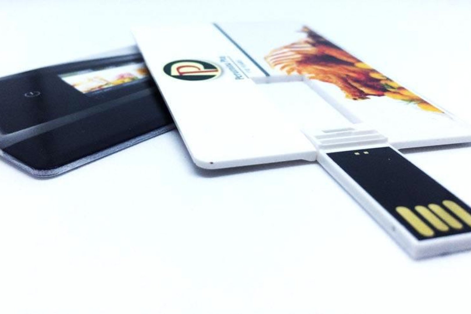 Promocijska usb kartica