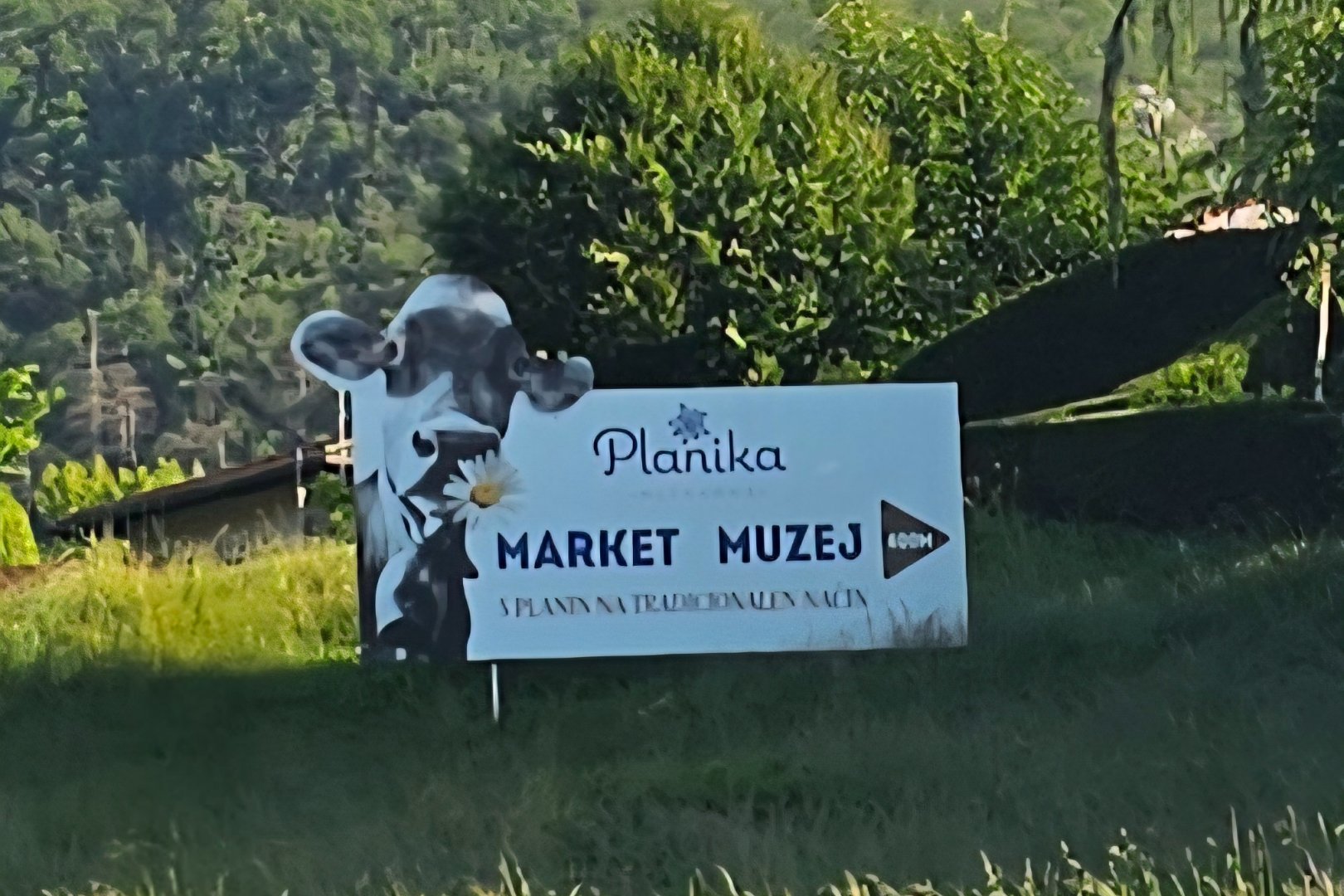 Industrijska prodajalna